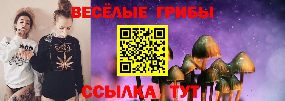 Ржев  Псилоцибиновые грибы мицелий  Псилоцибиновые грибы Psilocybine cubensis  Вход с VPN 
